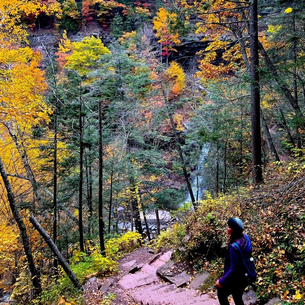 Meet your Posher, CJ